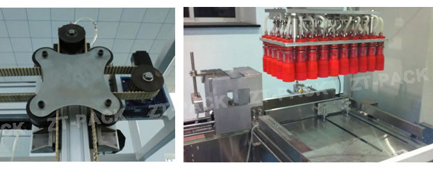 Línea de Envasado en Cajas de Cartón